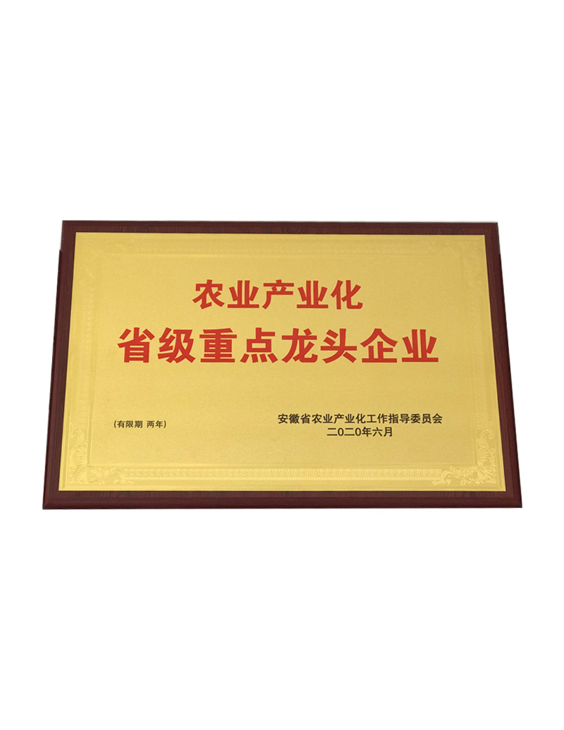 單軸撕碎機